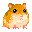 hamster doré